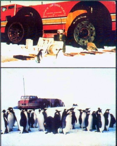 snow4.jpg