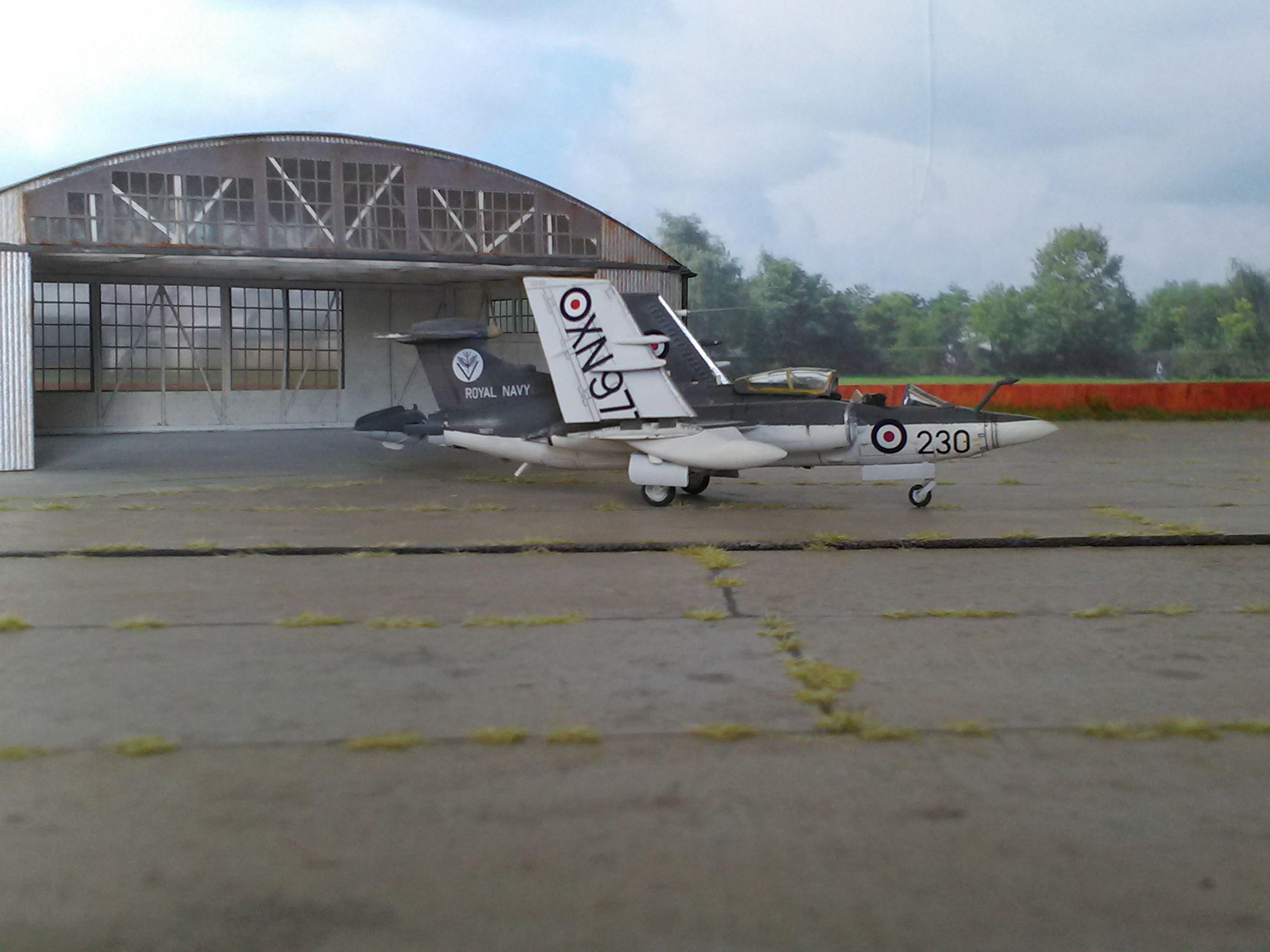 IMG_20201107_140459.jpg