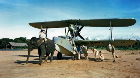 Supermarine Walrus Elephant2.JPG